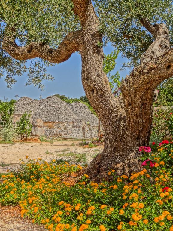 Borgo Sardedda Suites Locorotondo Kamer foto