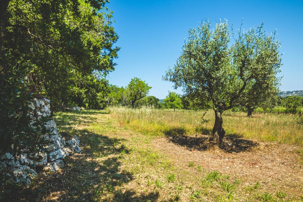 Borgo Sardedda Suites Locorotondo Buitenkant foto